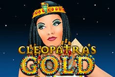 Slots Gallery game-thumb
